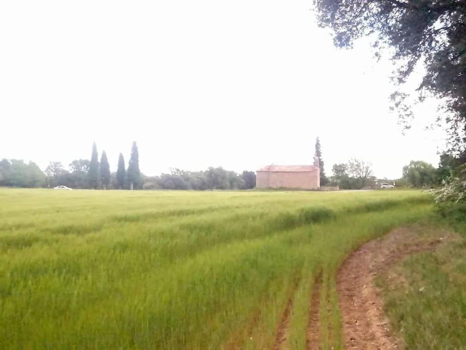 El Niuet De Cal Cacuet, La Teva Escapada Rural. Leilighet Aviá Eksteriør bilde