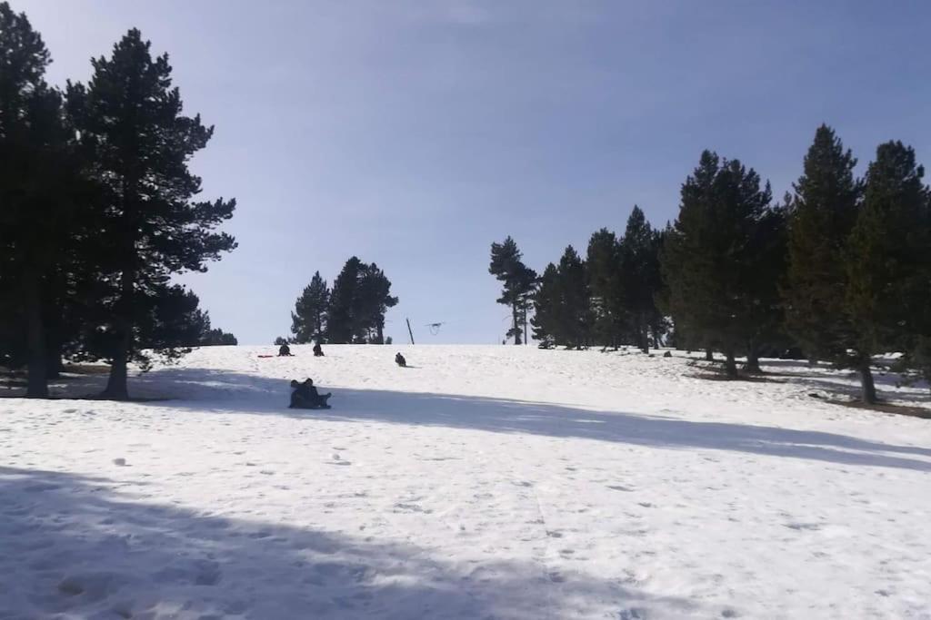 El Niuet De Cal Cacuet, La Teva Escapada Rural. Leilighet Aviá Eksteriør bilde
