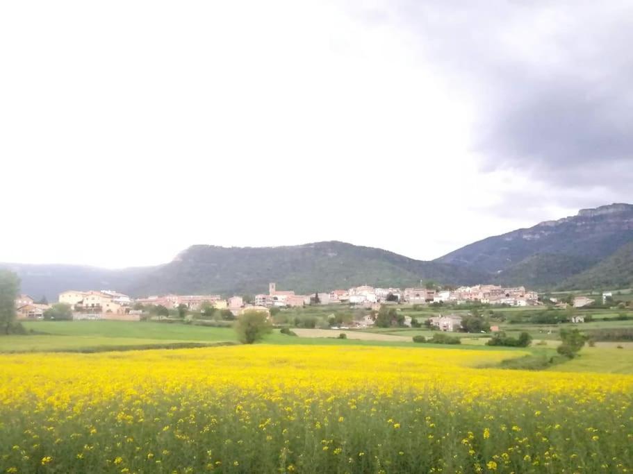 El Niuet De Cal Cacuet, La Teva Escapada Rural. Leilighet Aviá Eksteriør bilde